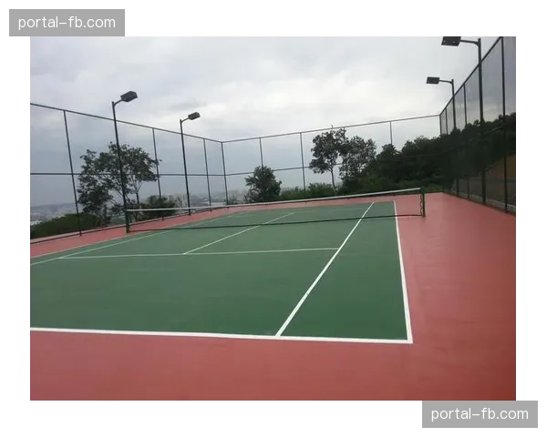 尼斯主场部分看台启动翻新工程，预计下赛季前完工